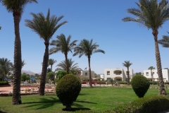 20170405_120911