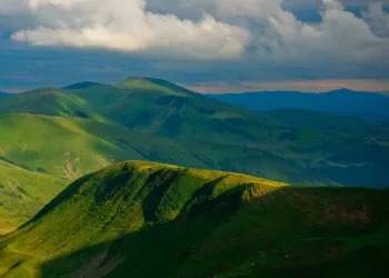 близниця з догяски