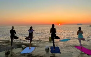 57739e469000b782008d44dd3399aa8d34e13a59b6b8e7167146862cbc95b015