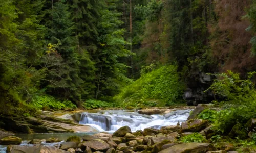 Чемегівський каньйон DSCF3106