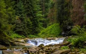 Чемегівський каньйон DSCF3106