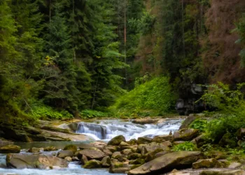 Чемегівський каньйон DSCF3106
